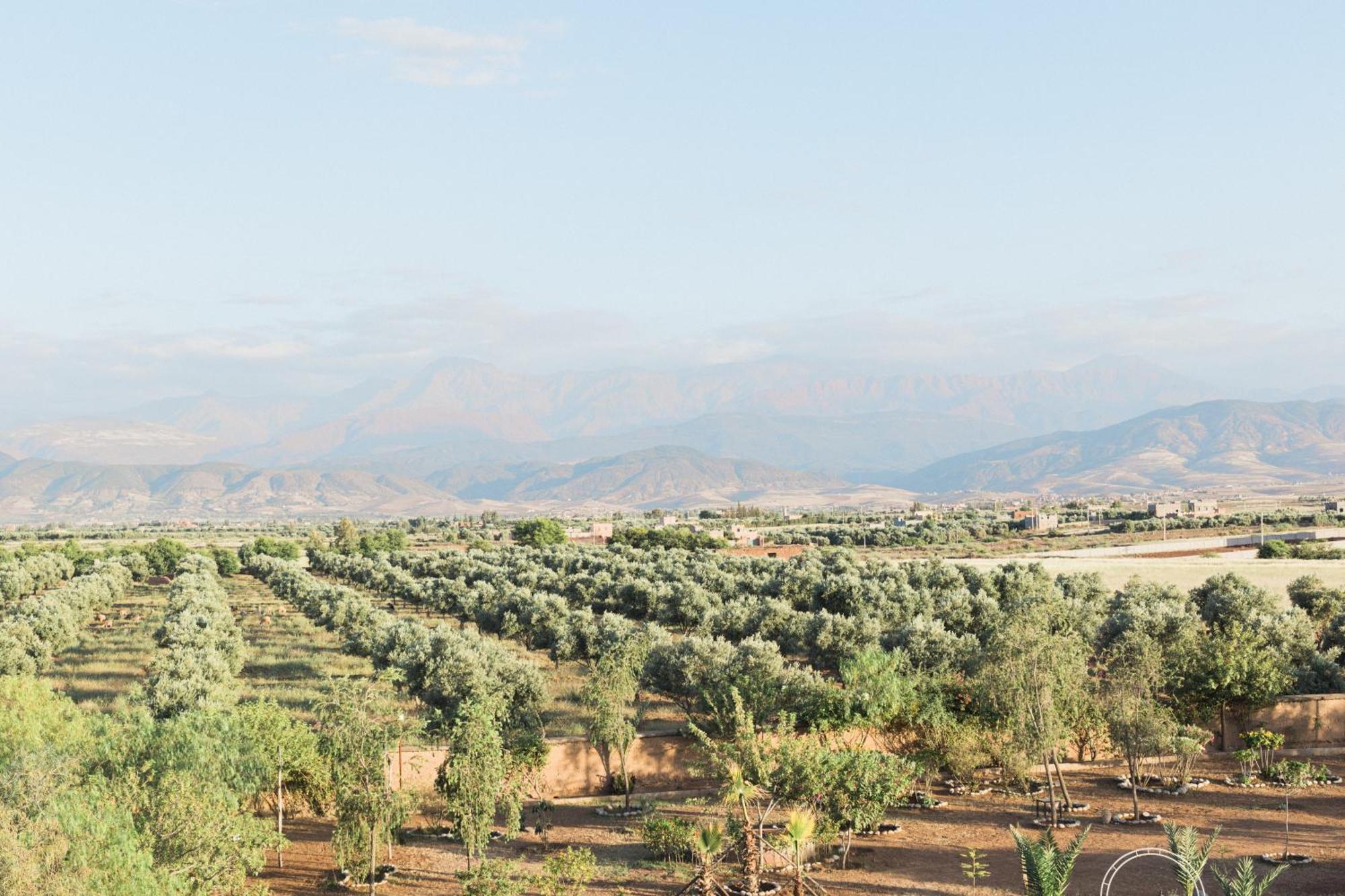 Kasbah Caracalla Bed & Breakfast Aït Zat Eksteriør bilde